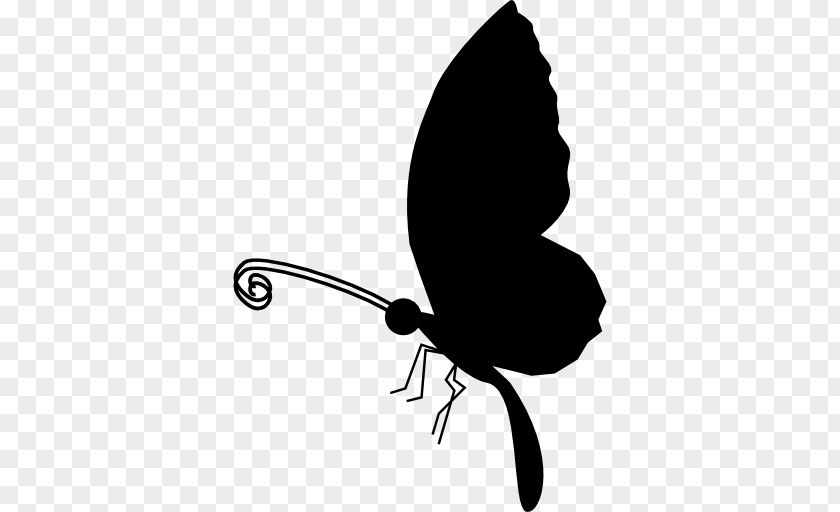 Butterfly Insect Shape Nature PNG
