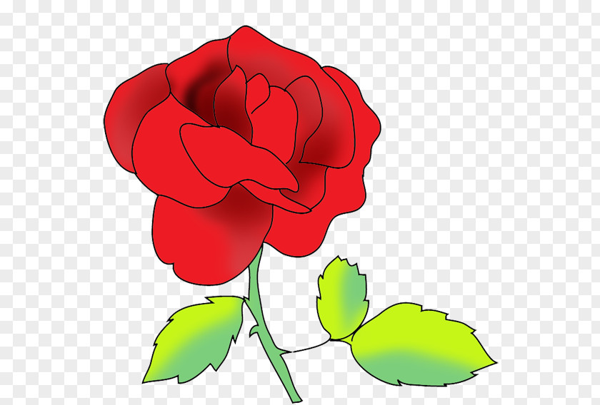 Flower Drawing Rose Clip Art PNG