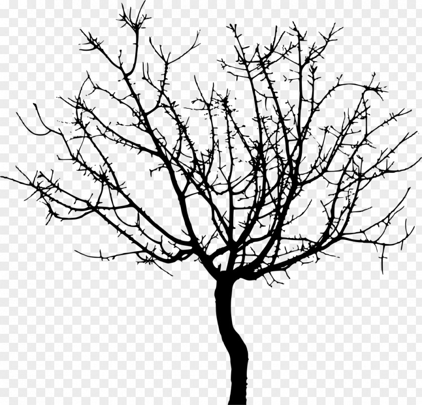 Tree Twig Clip Art PNG