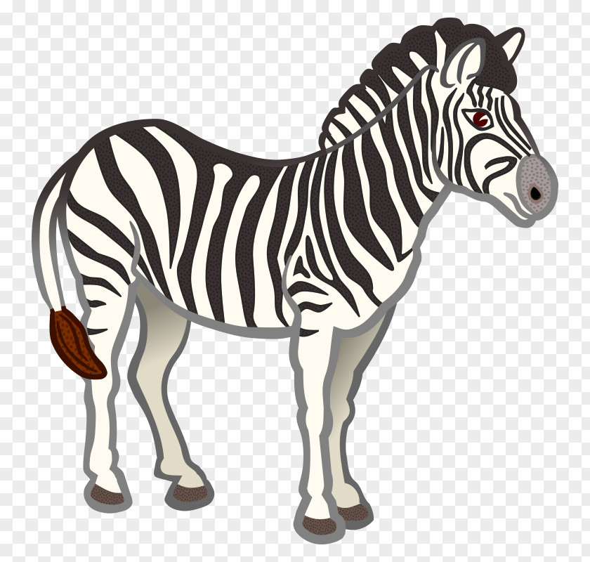 Zebra Clip Art PNG