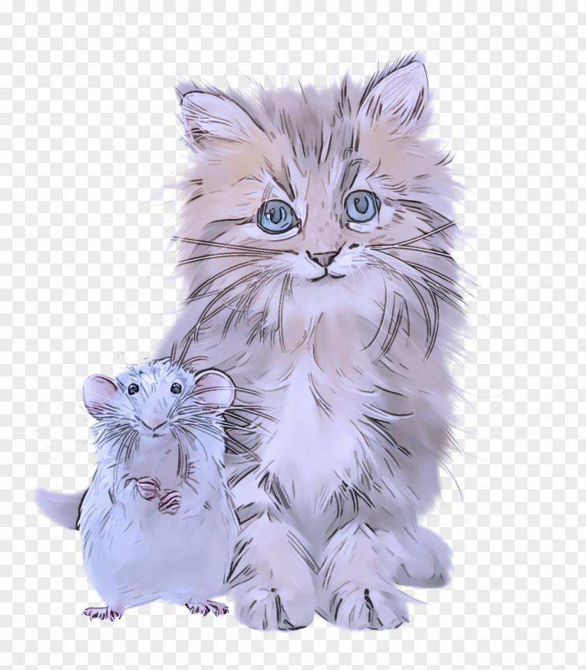 American Curl Kitten Wildcat Paw Whiskers PNG