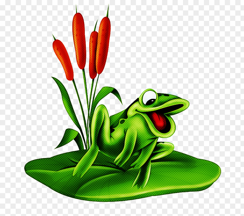 Anthurium Chili Pepper Frog Cartoon PNG