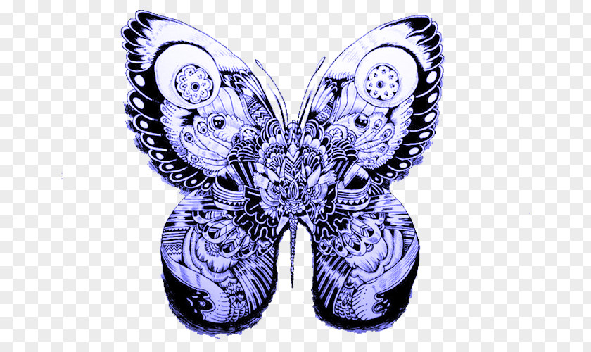 Blue Butterfly Swindon Illustrator Art Illustration PNG