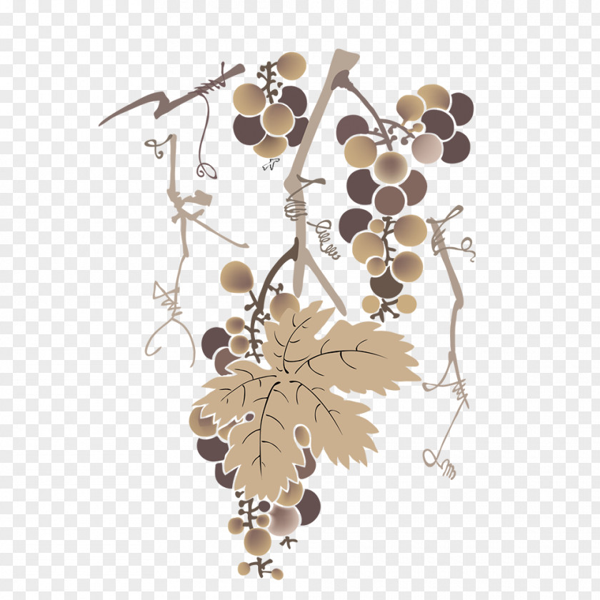 Common Grape Vine White Wine Vector Graphics PNG