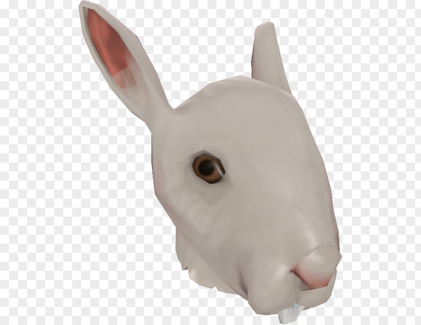 Nose Domestic Rabbit Snout PNG