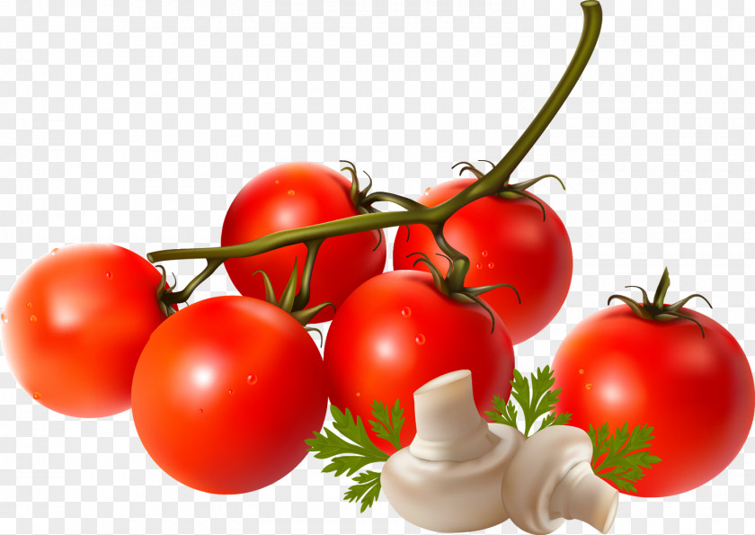 Tomato Plum Vegetable Food Vegetarian Cuisine PNG