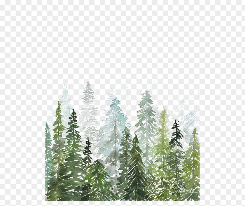 Watercolor Woods Painting Printmaking Printing Drawing PNG