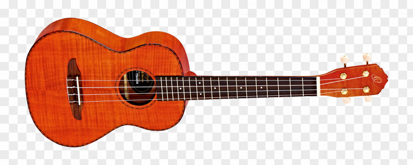 Guitar Ukulele Ibanez RG Amplifier Musical Instruments PNG