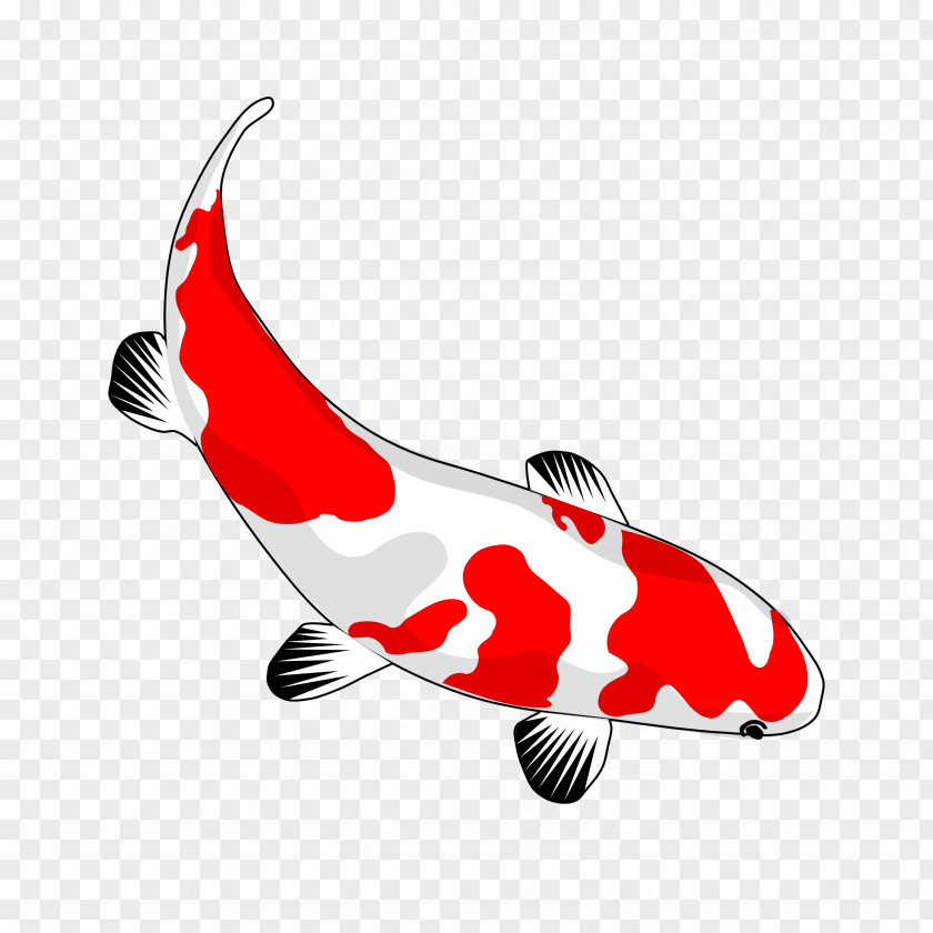 Koi. Koi Pond Goldfish Carp Clip Art PNG