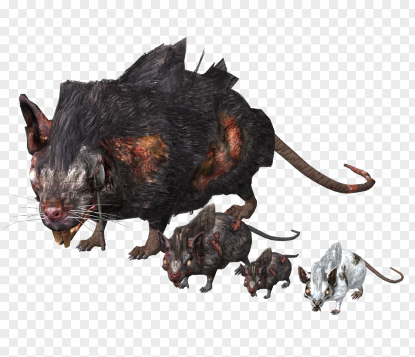 Rat Dark Souls III Murids Mouse PNG
