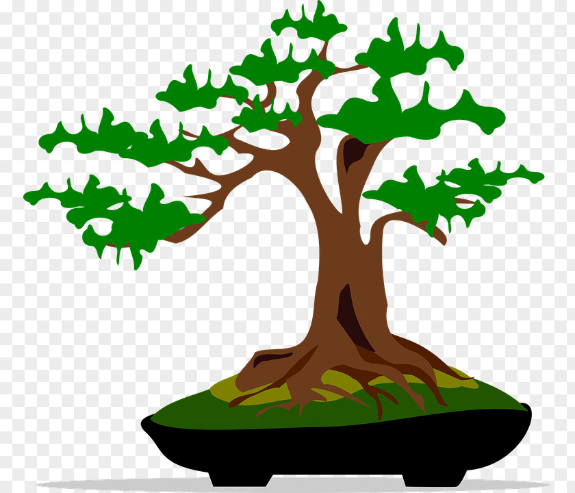 Tree Bonsai Clip Art PNG