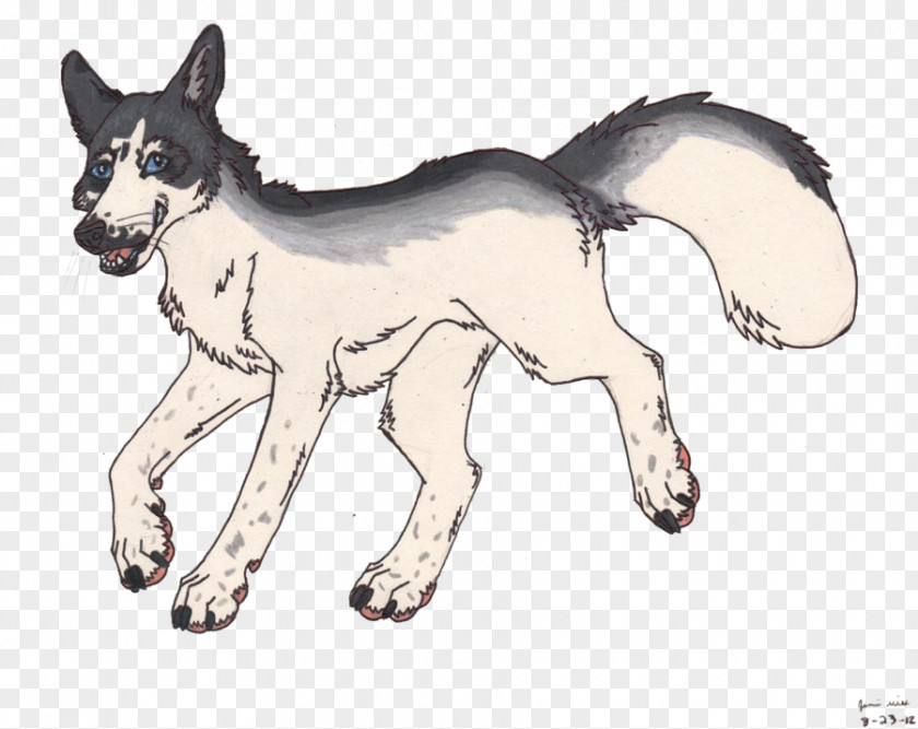 Cat Dog Breed Vulpini Art PNG