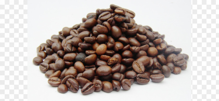Coffee Bean Arabica Cafe Kona PNG