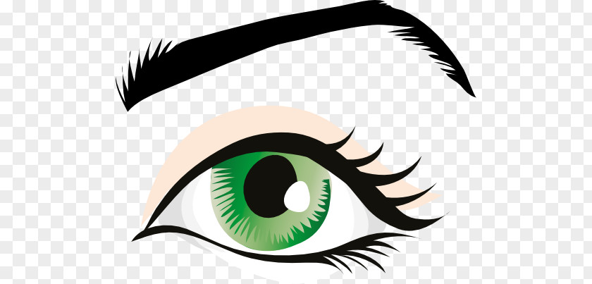 Eyes PNG clipart PNG