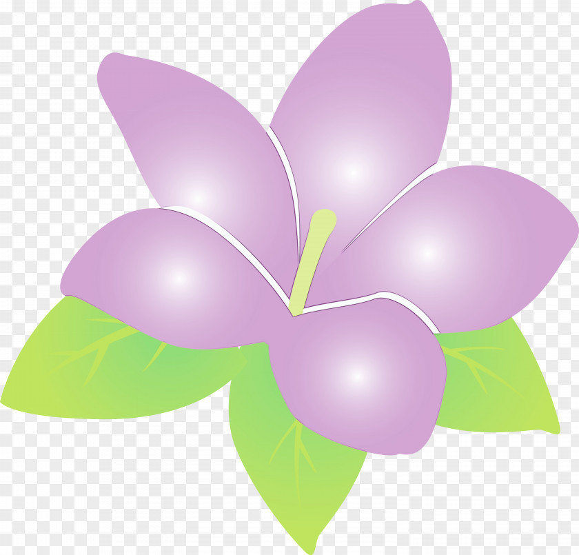 Lavender PNG