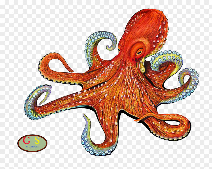 Octopus Enteroctopus Dofleini Drawing Painting Mosaic PNG
