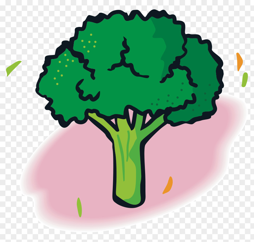 Vegetables,Fruits And Vegetables,Green,fruit,vegetables Vegetable Fruit Broccoli Food PNG