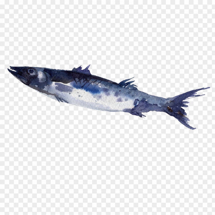 Watercolor Fish Painting PNG