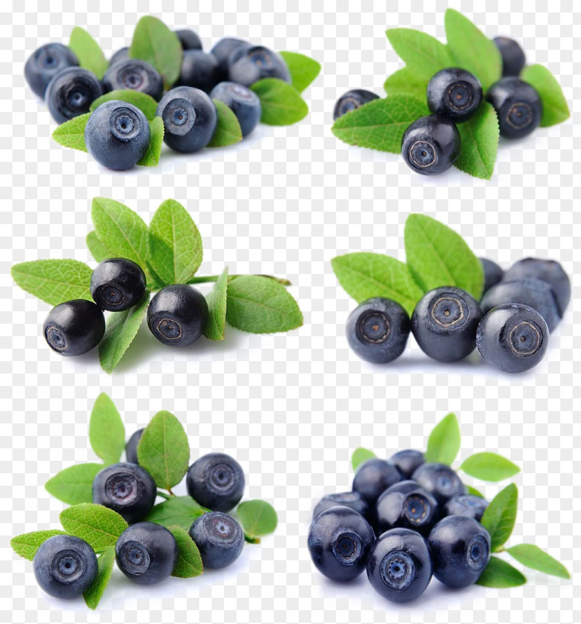 Fresh Blueberries Blueberry Fruit Bilberry Lingonberry PNG