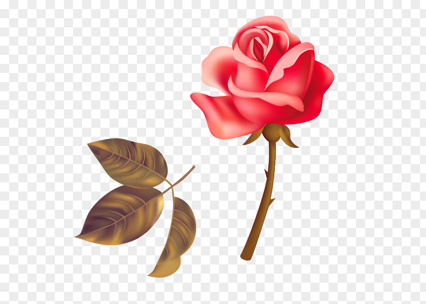 Rose Creative Garden Roses Beach Red PNG