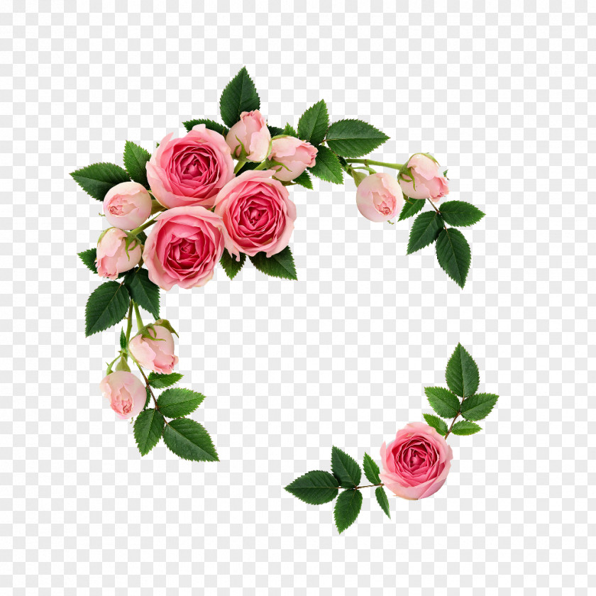 Weather Creative Stock Photography Rose Flower PNG