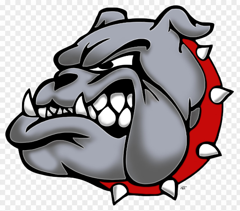 Basketball Bulldog Brighton High School National Secondary Drake Bulldogs Football District 27J PNG