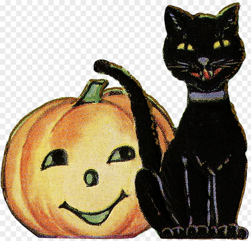 Cat Black Whiskers Domestic Short-haired Halloween PNG