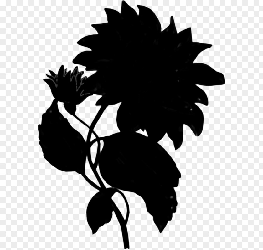 Flower Photograph Image JPEG Silhouette PNG