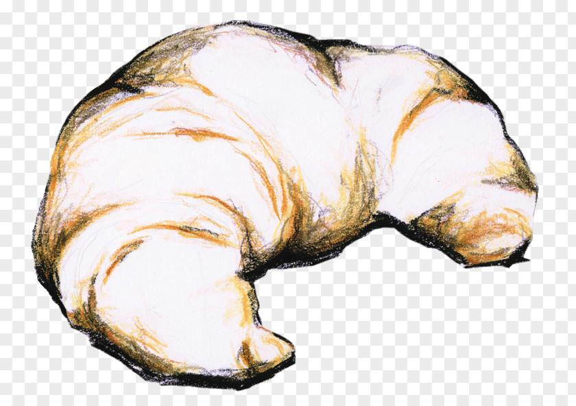 Сroissant Animal Source Foods PNG