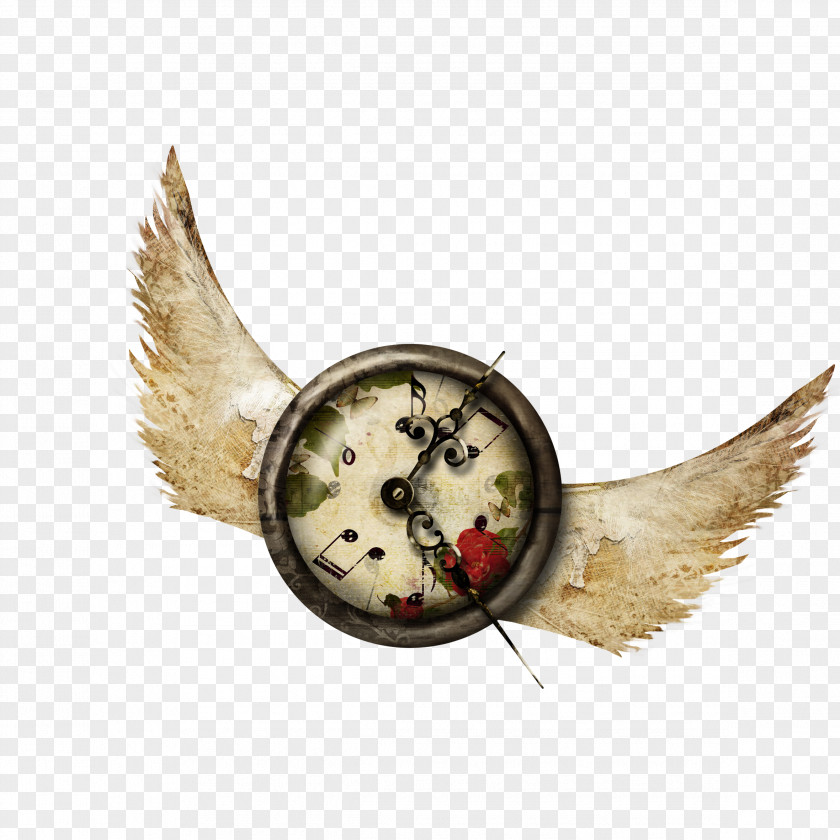 Bell Cuckoo Clock Designer Clip Art PNG