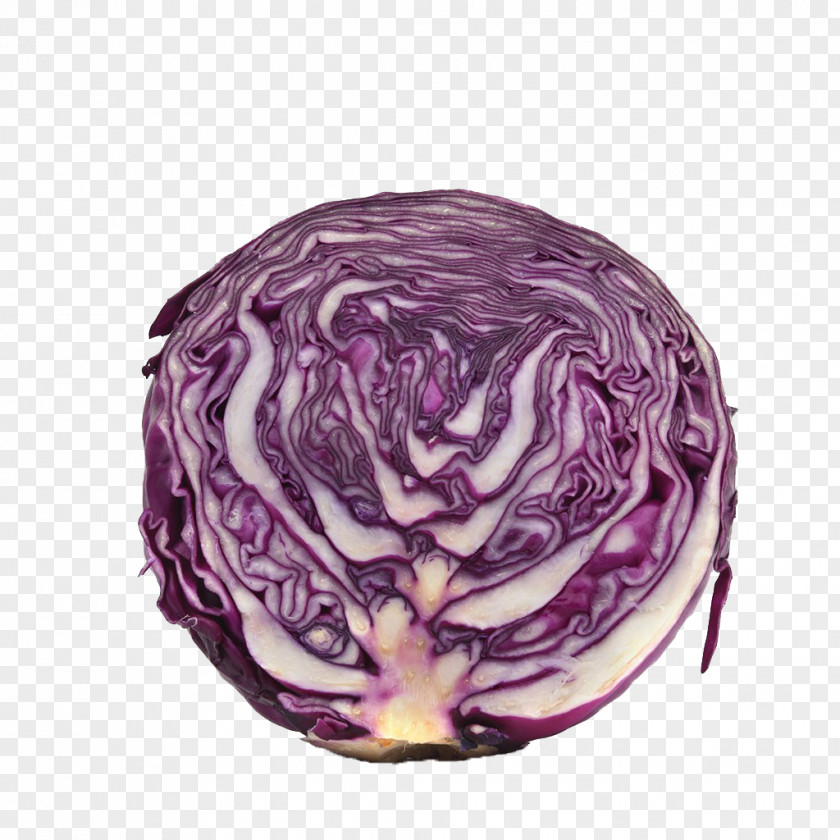 Cabbage Red Stock Photography Vegetable Purple PNG