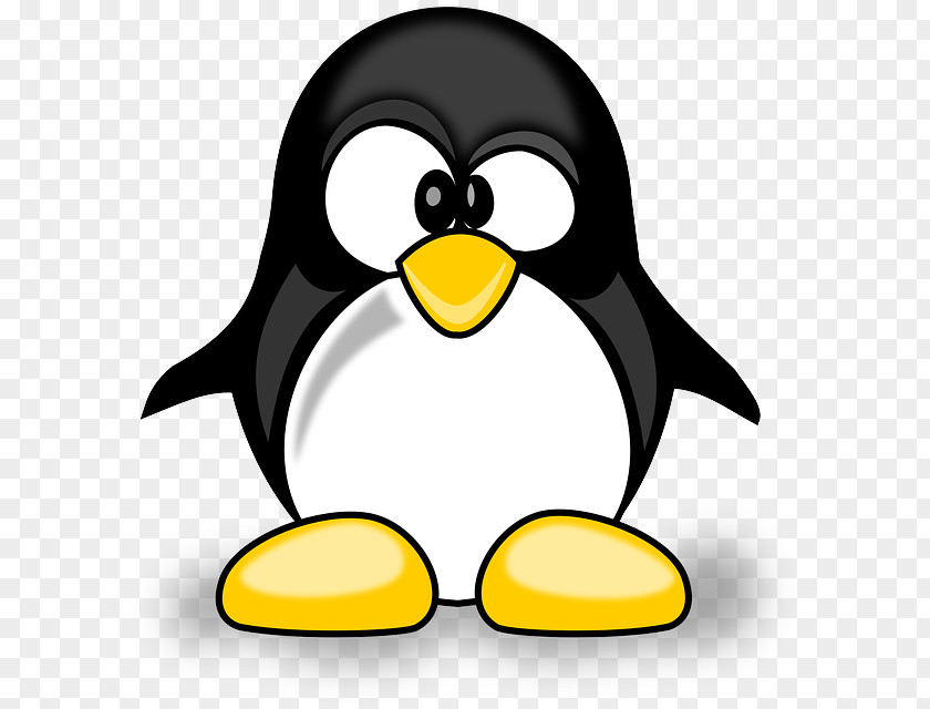 Cartoon Animals Tux Racer Penguin Bird PNG