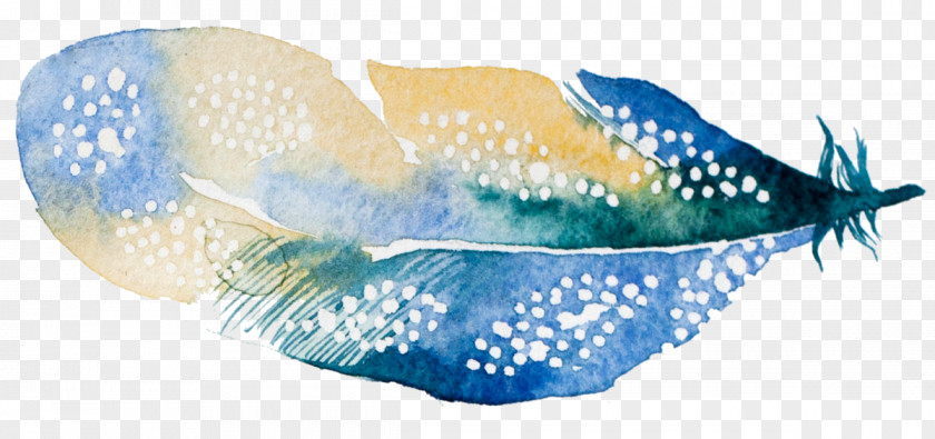 Feather Light Touch Marine Biology Mammal Fish PNG
