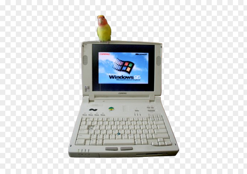 Laptope Netbook Laptop Computer Hardware Personal PNG