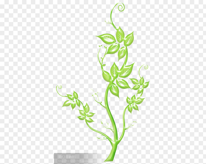 Pastime Graphics Flower Illustration Plants Floral Design PNG