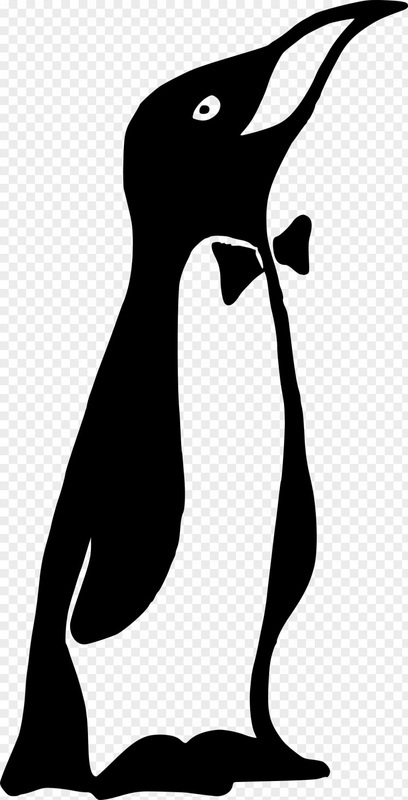 Penguins Penguin Bird Bow Tie Clip Art PNG