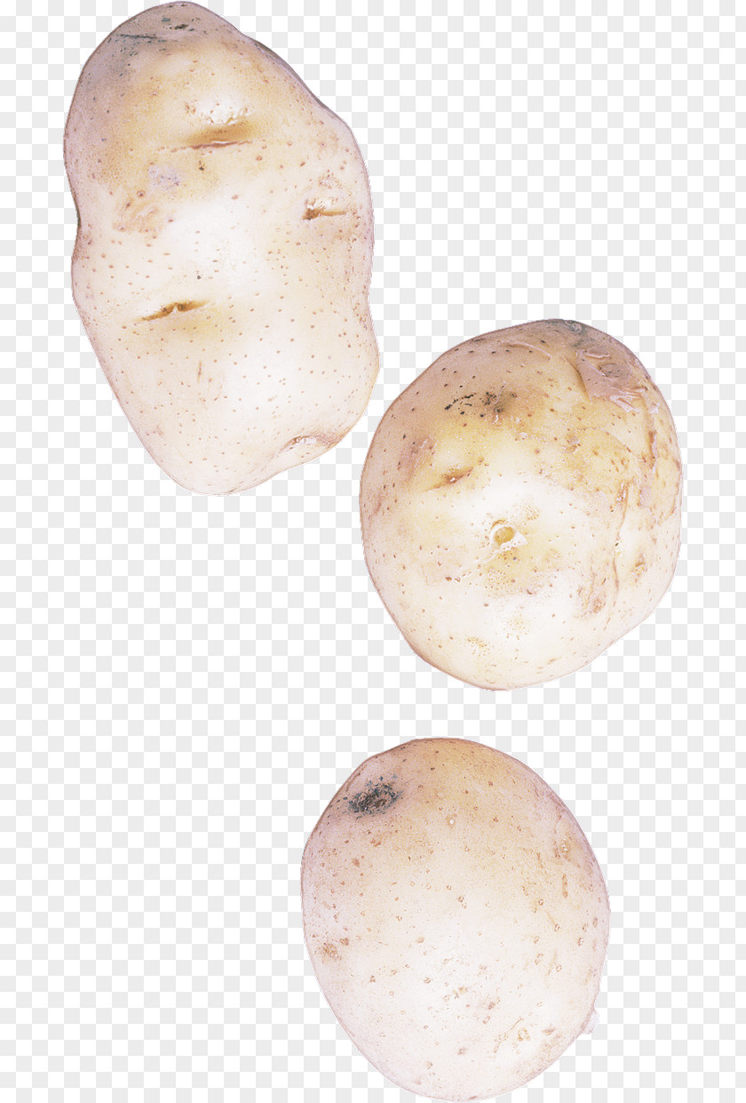 Root Vegetable Tuber Potato Solanum PNG