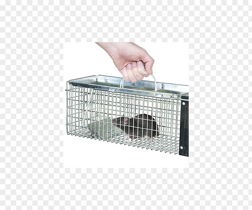 Safe Production Trapping Rat Mousetrap Cage PNG