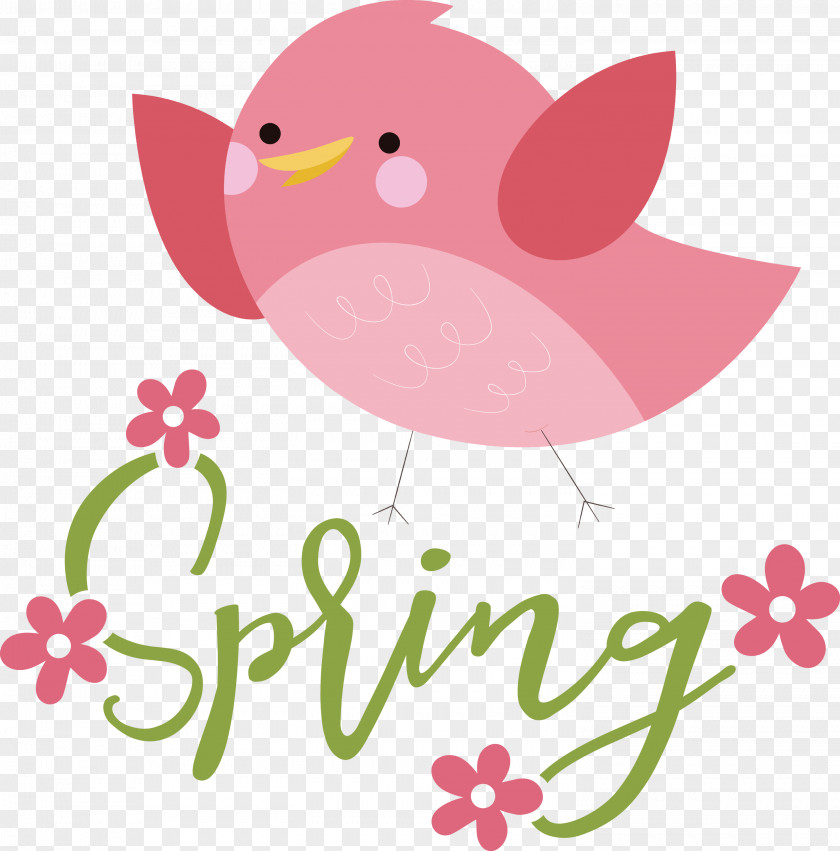 Spring Bird PNG