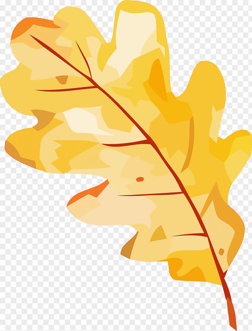 Leaf Plant Stem Flower Petal Tree PNG