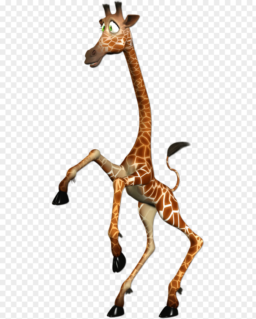 Northern Giraffe Neck Reticulated Clip Art PNG