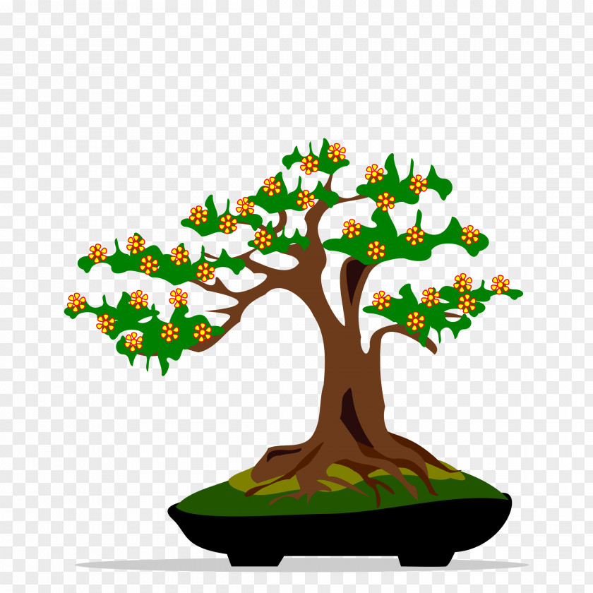 Big Tree Bonsai Ficus Retusa Clip Art PNG