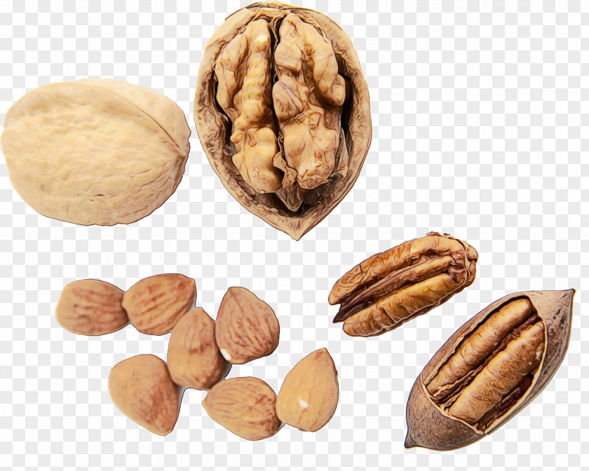 Ingredient Plant Walnut Nut Nuts & Seeds Food Almond PNG
