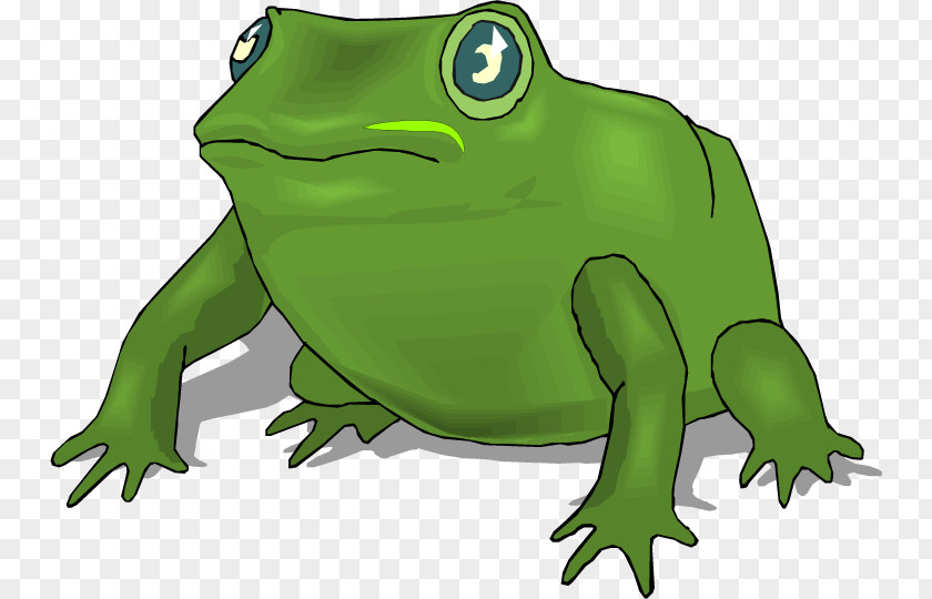Big Frogs Cliparts True Frog Amphibian Toad Clip Art PNG