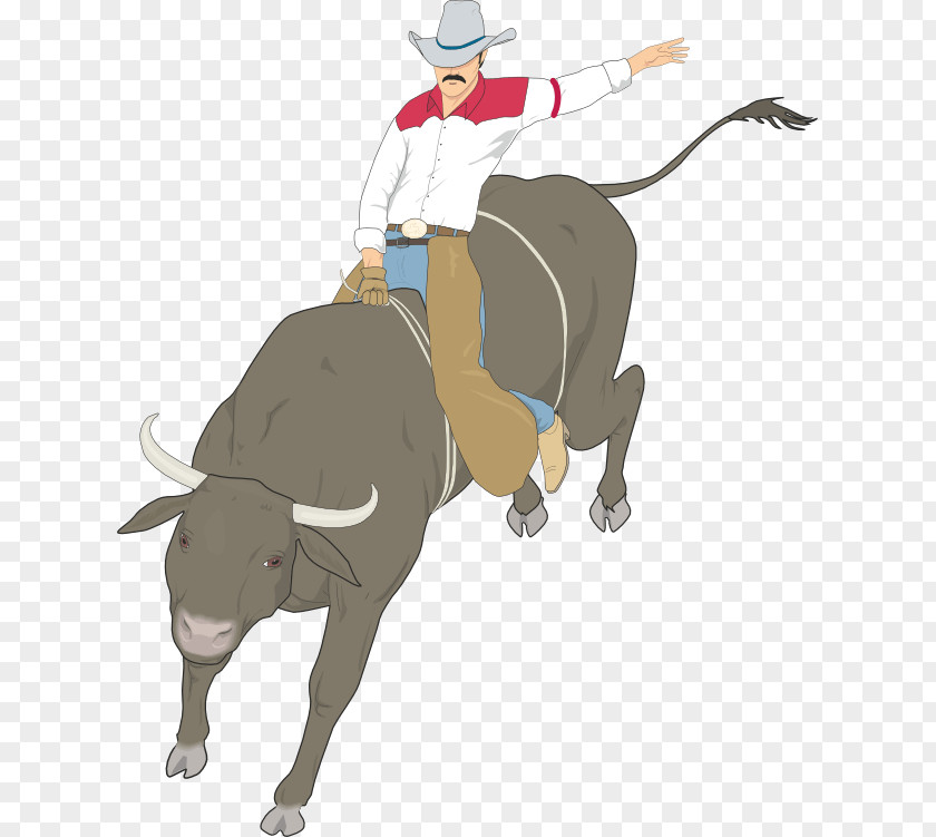 Bull Cattle Riding Rodeo Clip Art PNG