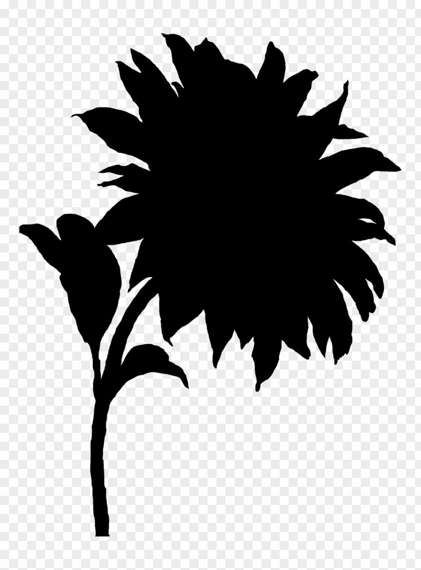 Flowering Plant Silhouette Leaf Branching PNG