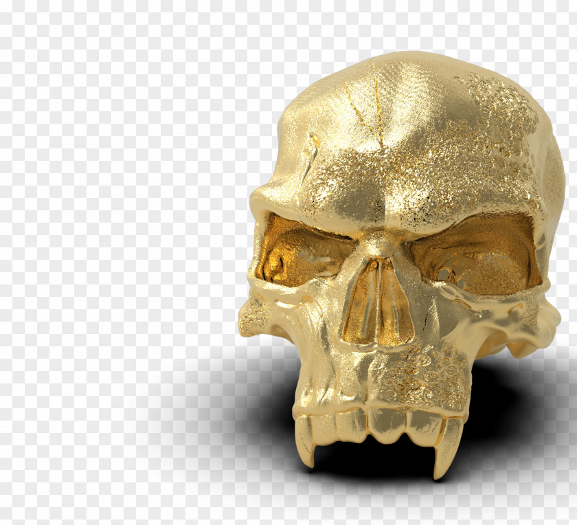 Gold Skull Online Shopping Spider PNG