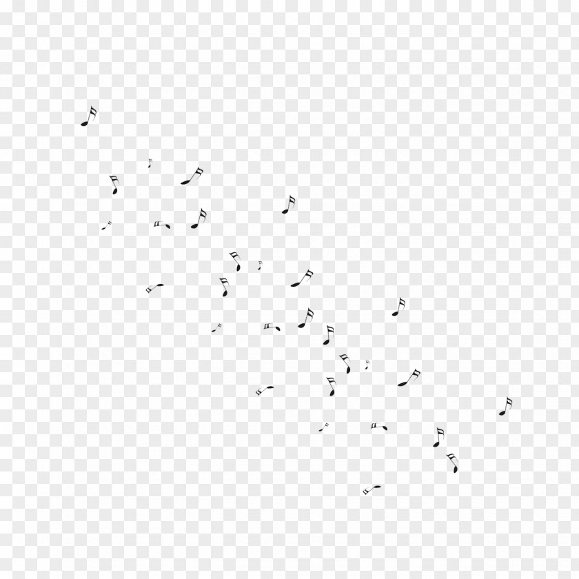 Notes Background Pattern Bird Migration Flock White Font PNG