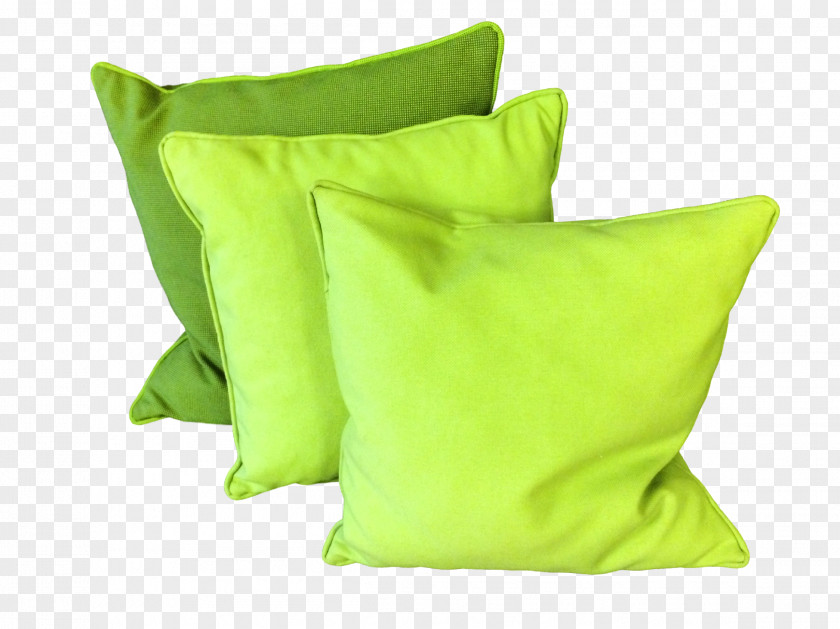 Pillow Throw Pillows Cushion Dakimakura Green PNG