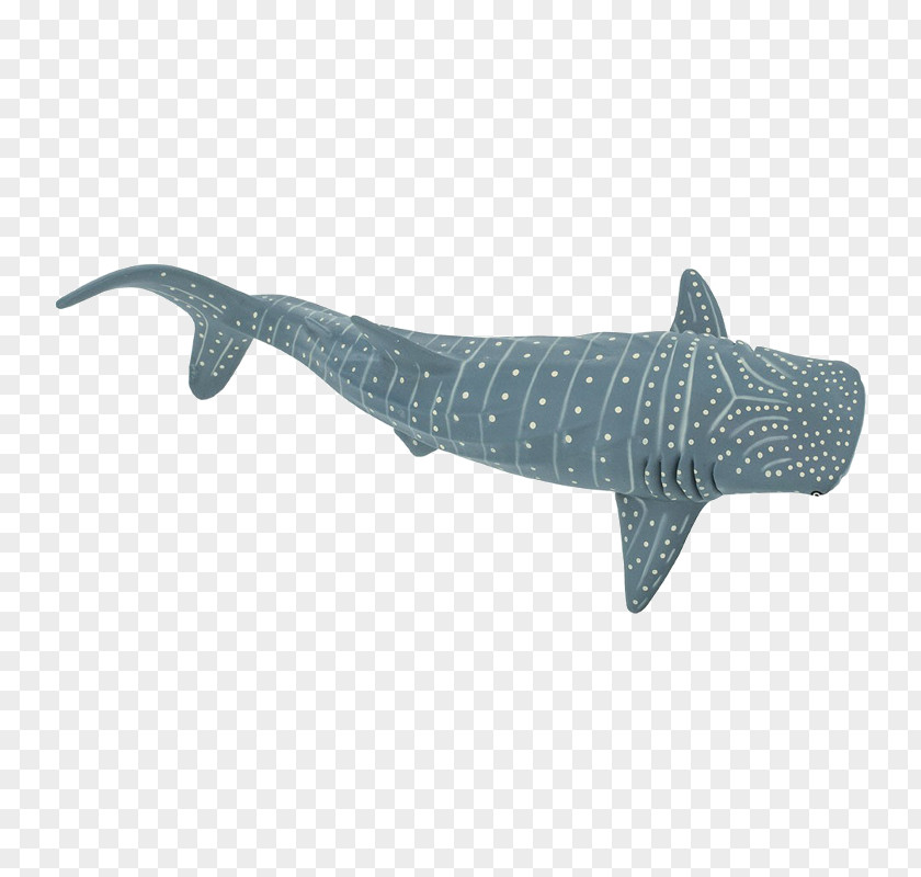 Basking Shark Toy Squaliform Sharks Safari Ltd Whale Animal Figurine Requiem PNG